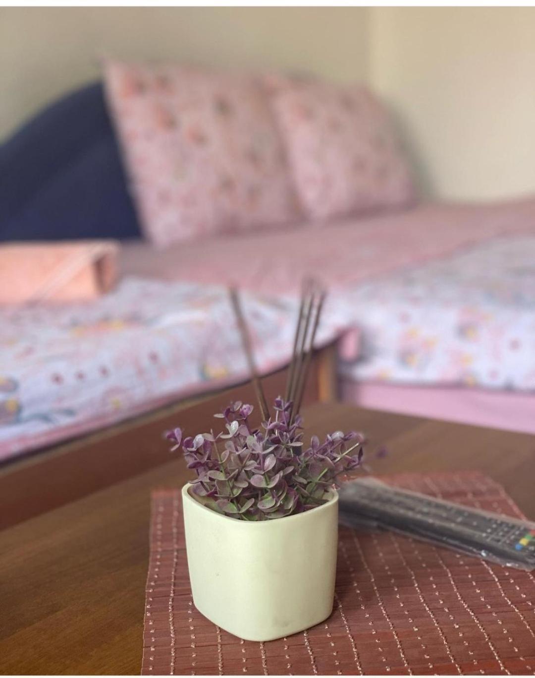 Guest House Zarnovel Palace Ohrid Bagian luar foto